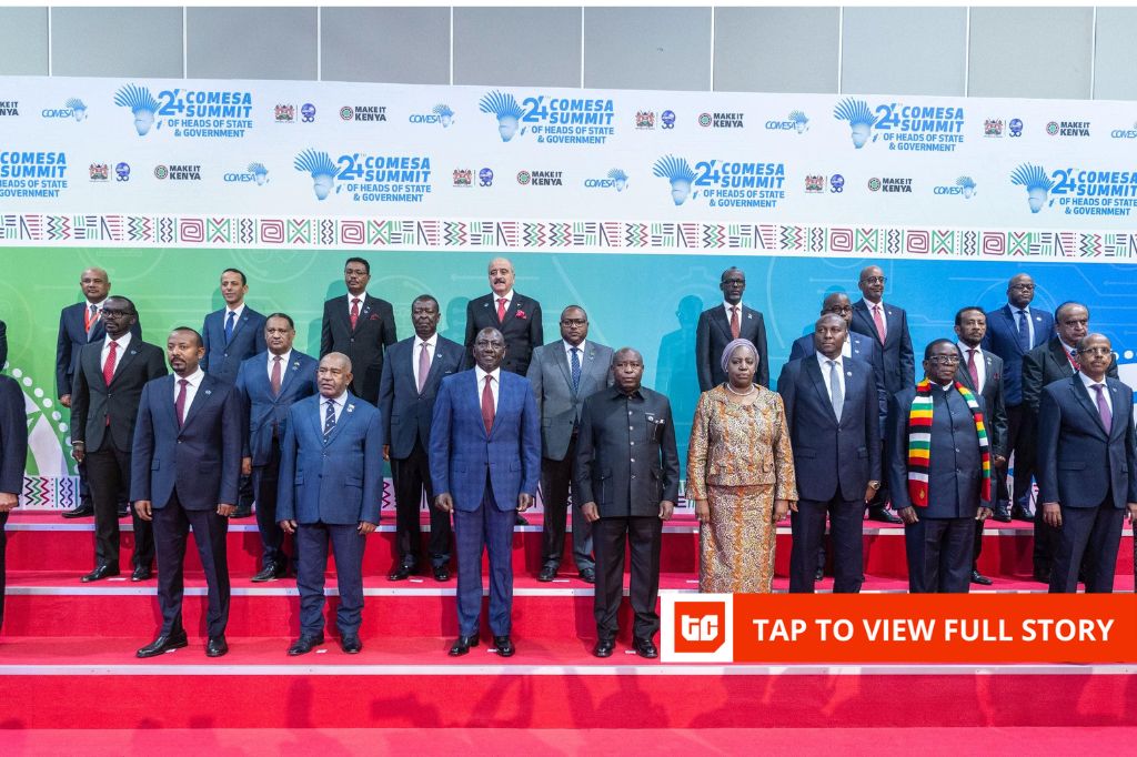21-nation COMESA bloc launches payment system to settle trade in local currencies