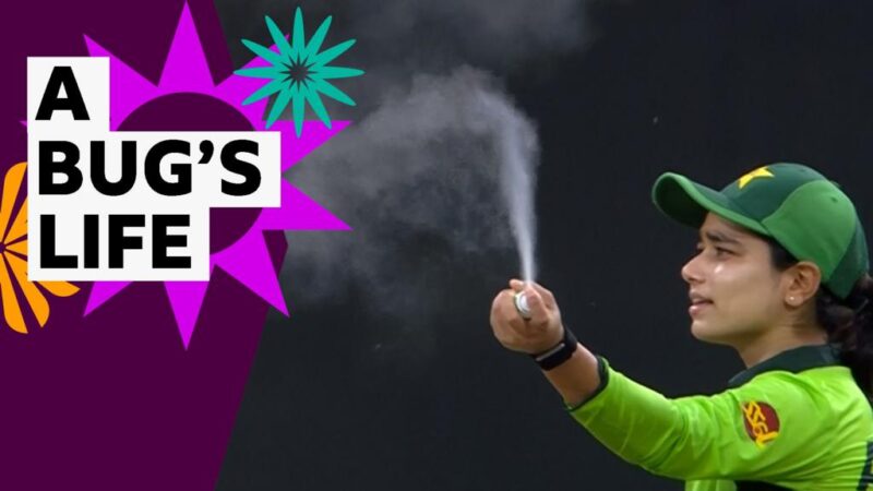Women’s Cricket World Cup: Fly infestation interrupts match between India and Pakistan