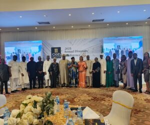 Uwaleke to Directors: Use your positions to champion tax compliance