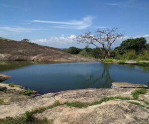 Iyake Lake: One of Two Suspended Lakes in the World Lies in Nigeria