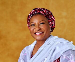 Meet Ireti Heebah Kingibe: Civil Engineer, Politician, and FCT’s Voice in the Senate