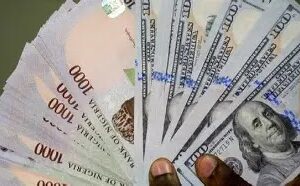 Naira Hits Strongest Level of 2025 at Official FX Market