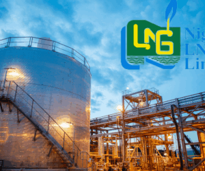 NLNG Launches The Nigeria Prize for Creative Arts