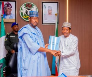 Gov Radda inaugurates committees for community dev’t