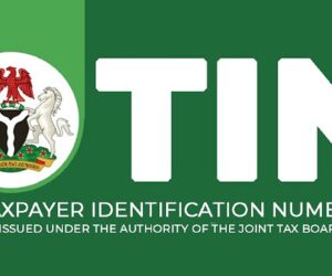 How to Get Your Tax Identification Number (TIN) Online
