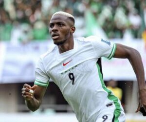 World Cup Qualifying Play-Offs: Why All Hands Must Be On The Plough For Super Eagles 