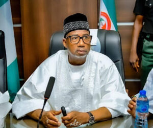 Leaving PDP to another party is act of cowardice