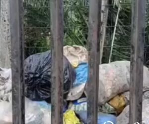 Lagos govt shuts Itedo Market over environmental violations