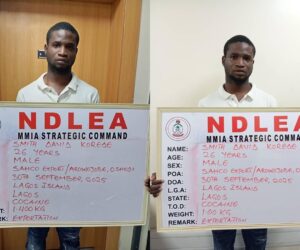 NDLEA smashes cocaine cartels behind 6 UK-bound shipments; arrests arrowhead, 5 others
