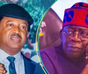 “Why It’ll Be Hard For Any Other President to Succeed if Tinubu Fails,” Shehu Sani Explains
