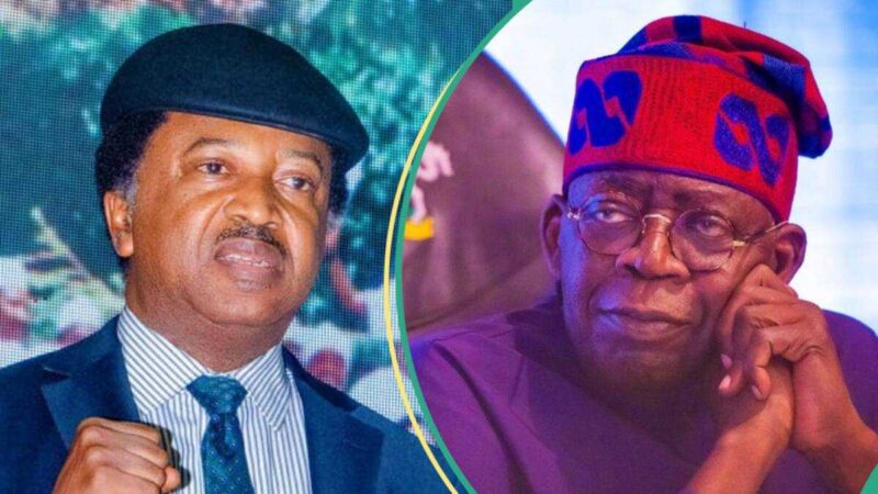 “Why It’ll Be Hard For Any Other President to Succeed if Tinubu Fails,” Shehu Sani Explains