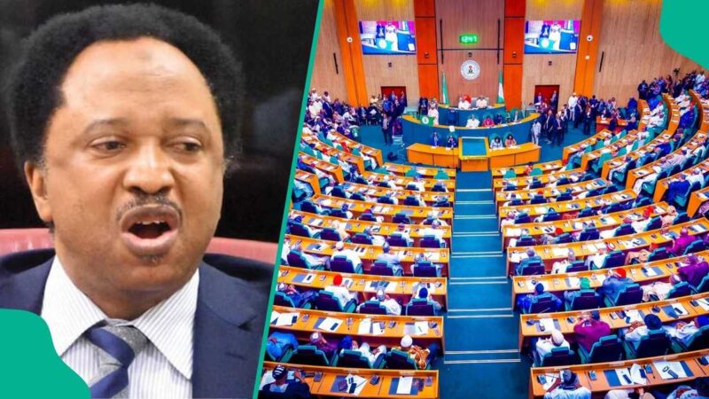 Shehu Sani Reacts as Demand for New State Creation Deepens 1year Before 2027 Election