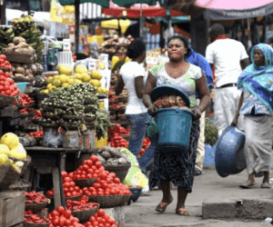 Nigeria records higher food output, lower prices in 2025 – NAERLS report