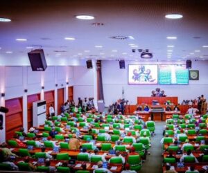 NASS Committed To Providing Legislative Oversight – Reps