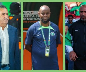 Jose Peseiro, Finidi George, Chelle, Super Eagles or NFF: Who to blame if Nigeria misses 2026 World Cup ticket?