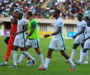 Pinnick blasts South African Minister over ‘careless’ remarks ahead of Super Eagles World Cup playoffs