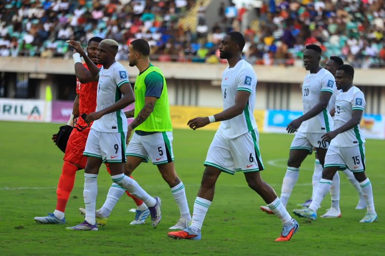 Pinnick blasts South African Minister over ‘careless’ remarks ahead of Super Eagles World Cup playoffs