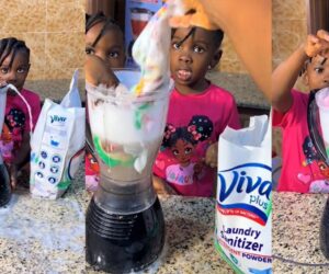 Mom Shares Hilarious Kitchen Mishap as her Twin Toddlers Use Blender as Washing Machine (WATCH)