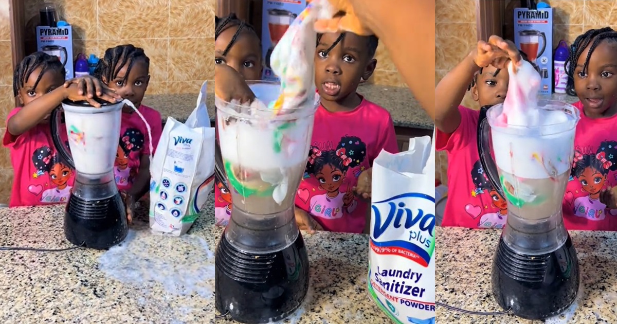Mom Shares Hilarious Kitchen Mishap as her Twin Toddlers Use Blender as Washing Machine (WATCH)
