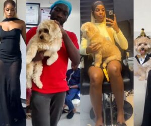 Lady stirs reactions online after sharing impressive amount she spent celebrating her puppy’s fifth birthday.