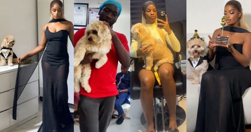 Lady stirs reactions online after sharing impressive amount she spent celebrating her puppy’s fifth birthday.