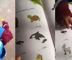 A Mother Shares Adorable Moment Her Toddler Corrected a Book Author During Study Time (VIDEO)