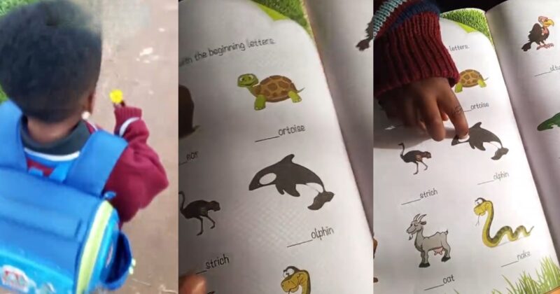 A Mother Shares Adorable Moment Her Toddler Corrected a Book Author During Study Time (VIDEO)