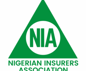 NIA Sympathises With Victims Of Afriland Towers Fire Outbreak, Assures Of Prompt Payment Of Compensations – Independent Newspaper Nigeria