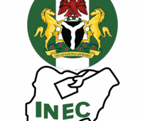 The EU confidence vote on INEC 