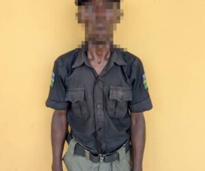 Man jailed 8 months for impersonating police officer in Kano
