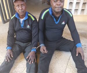 Two fake police officers arrested as troops intercept vehicles loaded with cannabis in Taraba