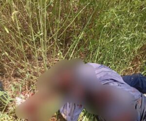 Troops neutralize 9 terrorists and recover N5m ransom money in Borno