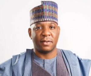 Audu calls for government, private synergy to resuscitate steel sector 