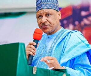 Nigerians enjoying dividends of democracy under Tinubu – Information Minister