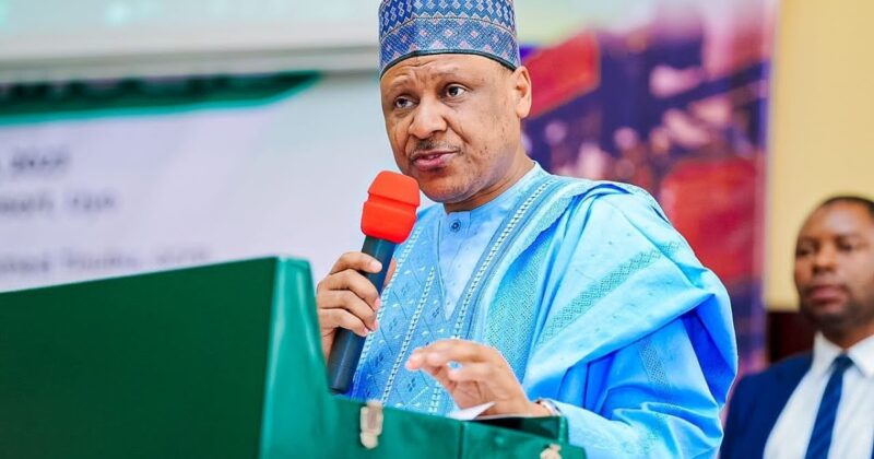 Nigerians enjoying dividends of democracy under Tinubu – Information Minister