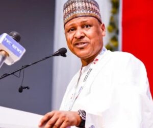 US lawmakers relying on faulty data to make Christian genocide claims about Nigeria – FG