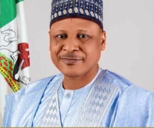 FG mourns victims of Niger tanker explosion