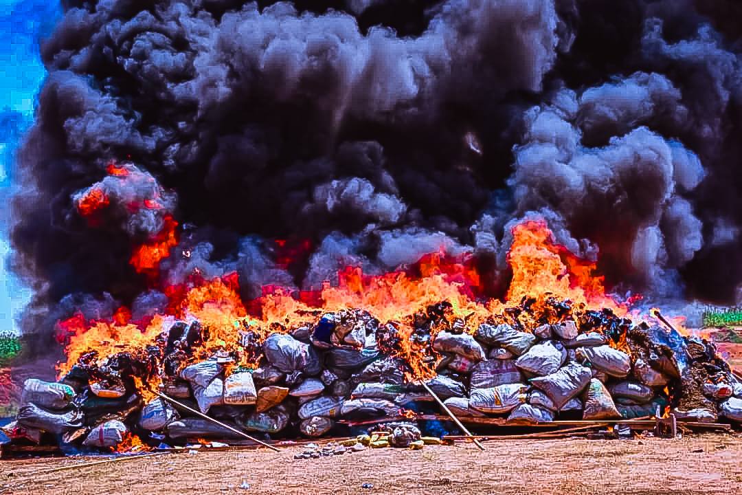 NDLEA destroys 8.2kg of seized illicit drugs in Yobe