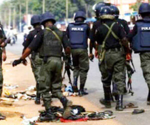 Police arrest herders for destroying N95m tree plantation in Ogun