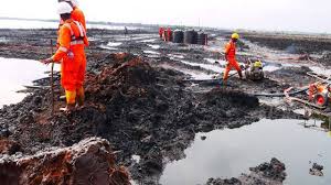 Niger Delta: PESMDAA vows to complement efforts on environmental impacts