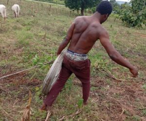 Man arrested for vandalising high-tension cables in FCT