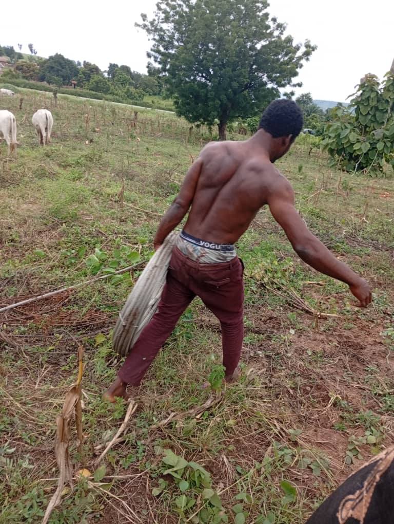 Man arrested for vandalising high-tension cables in FCT