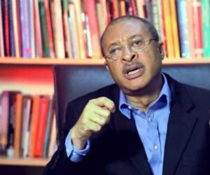 Court order on shadow government won’t stop me from expressing myself – Pat Utomi