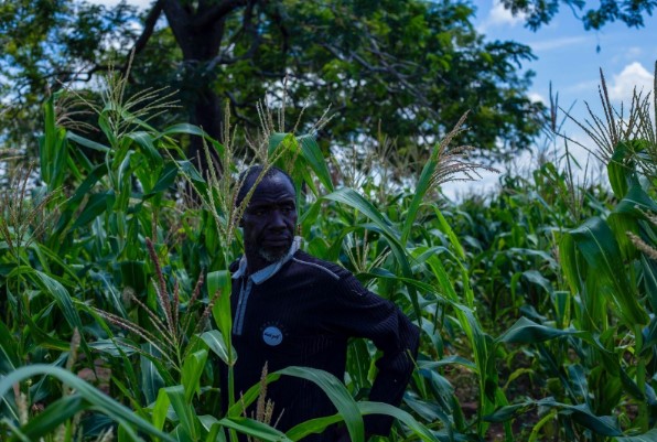 Nigerian farmers seek govt’s intervention to curb post-harvest losses