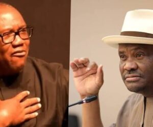 ‘You Will Remain Social Media President’ – Wike Blasts Peter Obi