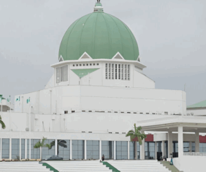NASS receives 333 requests for new states, LGAs