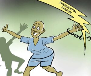 Much Ado About A Presidential Defence