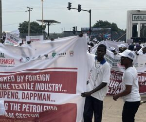 Protesters shutdown Kaduna in favour of Dangote refinery