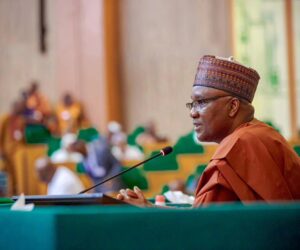 Nigerian lawmakers launch probe into $850bn unremitted oil, non-oil export proceeds