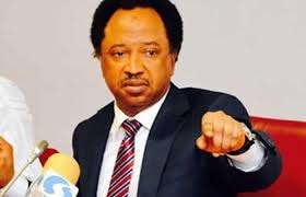 It’ll be hard for any other president to succeed if Tinubu fails – Shehu Sani